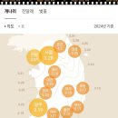 개화 이미지