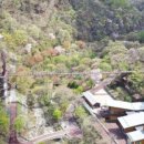 금산산림문화타운 이미지