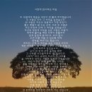 열매경영연구소
