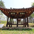 고반대 Daum카페