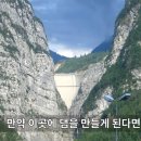 바이온트 이미지