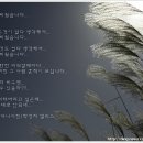 술 한잔콜 이미지