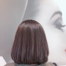 더 미쁘다 이미지