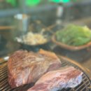 산방산의품
