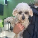 위덕삼성타운 이미지