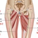 jkj 헬스 이미지