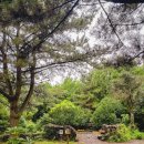 금호염소농장 | 서귀포 남원 가볼만한곳 유진팡 바나나따기체험