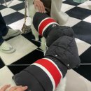 도도한강아지 이미지