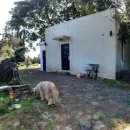 미로객잔 이미지