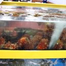 오늘막회 이미지