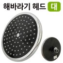 수드림 이미지