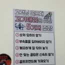 클럽피오시 | 인천골프매장 PRGR 슈퍼에그 헥사 고반발드라이버 비거리 극복 후기