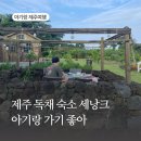 연주스럽게 이미지