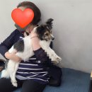 횡성동물병원 이미지