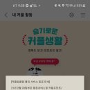 비아피 클럽 네이버블로그