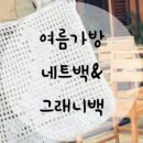 모헤이