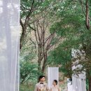 무지개 축사 | 뜰안채 2 웨딩, 동화같은 감성의 야외 결혼식 스냅 후기