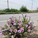 개화주유소 이미지