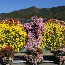 거창-신원-5 이미지