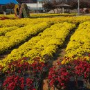 시래기코다리찜 이미지