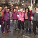 두메산골터줏대감 이미지