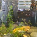 스마일카센터 이미지