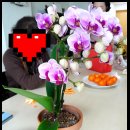 늘봄웰봄 이미지