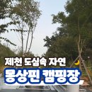 정D.C마트 | 정이 넘치는 제천 몽상핀 캠핑장 (feat.제천 가볼만한 곳)