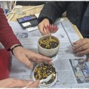 행정사김남심사무소 이미지