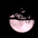 월랑월랑 이미지