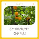 온누리유치원 이미지