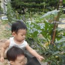 예린농장 이미지