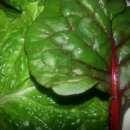 해동사우나 이미지