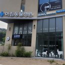 아침동물병원 이미지