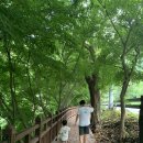 (주)새한주유소 | 단양펜션에서 아이랑 1박2일 다래펜션