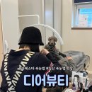 디어마이펫 | [일산 | 디어뷰티] 엄마가 마음에 쏙 들어한 속눈썹 연장 후기/ 라페스타 속눈썹