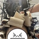 헤어샵깔롱