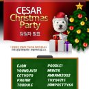 토마토케터링 | 냠이랑 시저 크리스마스 파티 다녀왔습니다 :-)