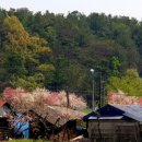 삼흥리경로당 이미지