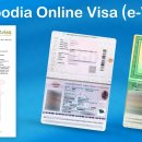 캄보디아 이비자(E-Visa) 온라인 대행업체 주의하세요! 이미지