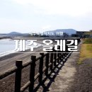 식산봉의 황근자생지 및 상록활엽수림 | 제주 올레길 1코스 2코스 짧고 편하게 함께 걷기 좋은 둘레길 추천