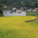 실덕보건진료소 이미지