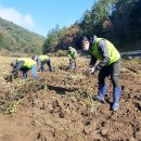 홍천축산 이미지