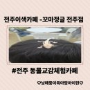 종이접기 스토리텔링 | 전주 아이와 가볼만한곳 귀여운 동물 친구들과 직접 교감할 수 있는 체험형 전주 이색카페 꼬마정글
