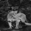 혁신전자 이미지