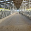 월야축사 이미지