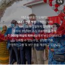 마가메디컬 네이버블로그