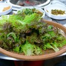 육영정육