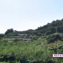 세양목장 이미지