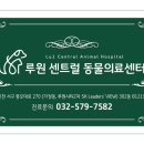 루원 센트럴 동물의료센터 이미지